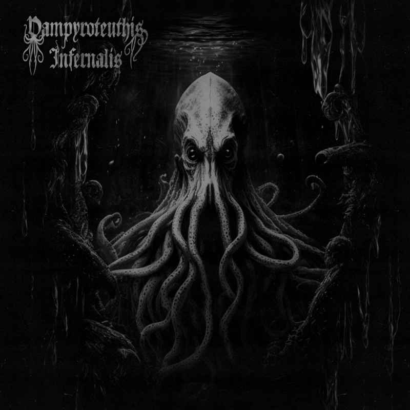 VAMPYROTEUTHIS INFERNALIS  - Vampyroteuthis Infernalis DIGI